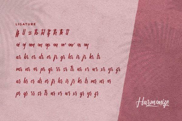 Harmonize Font - Image 6